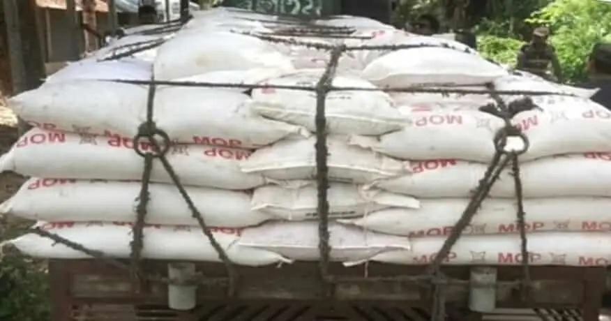 তানোরে আলু মৌসুমে সার সিন্ডিকেটের কবলে চাষিরা