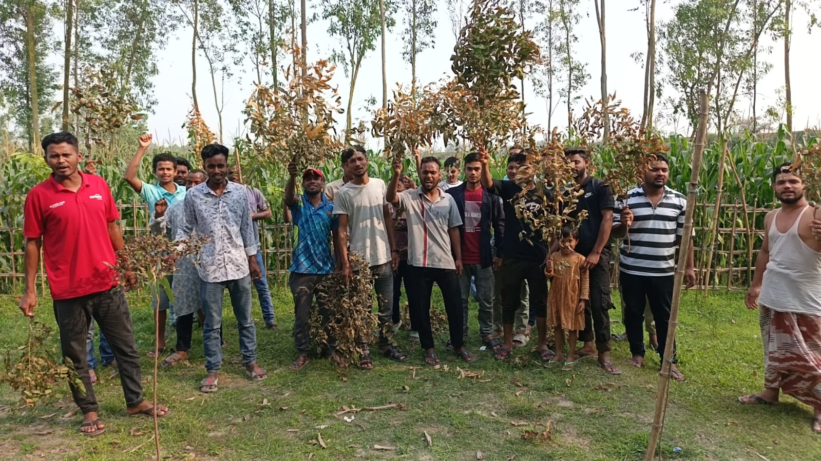 পূর্ব শত্রুতার জেরে রাতের আঁধারে শতাধিক গাছ নষ্টের অভিযোগ