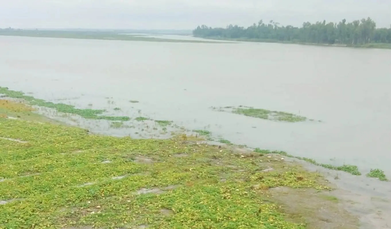 কাউনিয়ায় টানা বৃষ্টি, তিস্তা নদীতে পানি বৃদ্ধি উর্তি ফসলের ক্ষতির আশঙ্কা