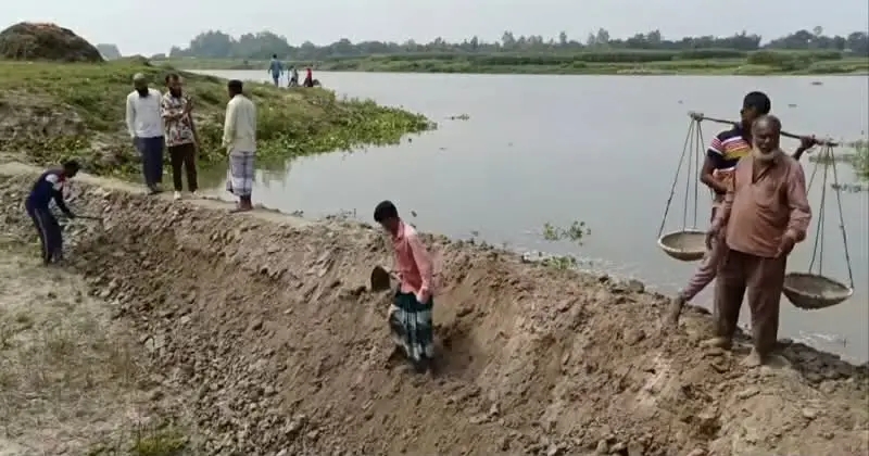 নওগাঁর আত্রাইয়ে নদীর পানি বাড়ছে,পাকা ধান নিয়ে উদ্বেগে কৃষক