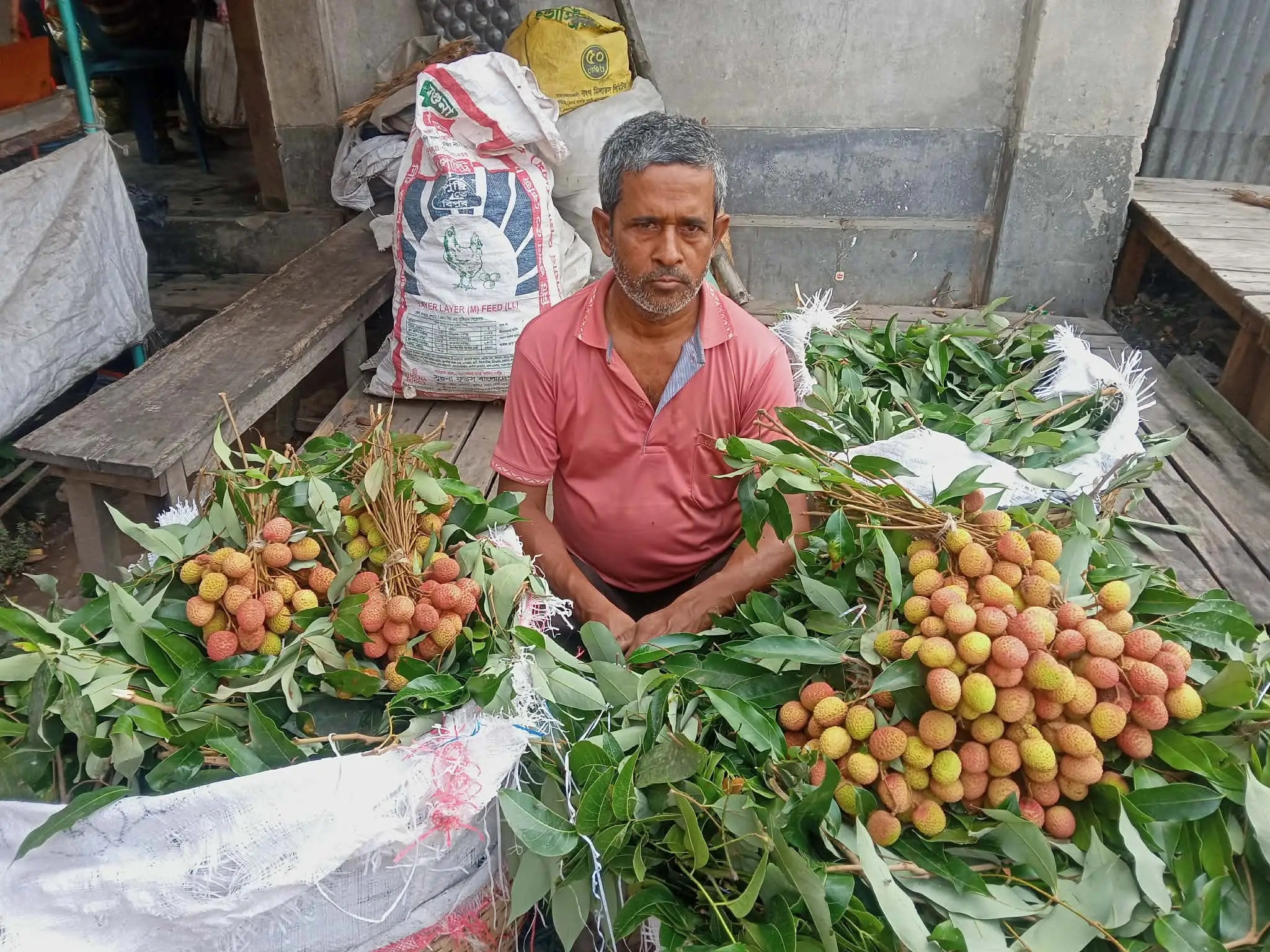 বাজারে দেশি জাতের গুটি লিচু পাওয়া যাচ্ছ