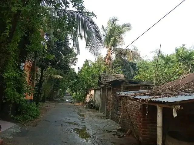 কালবৈশাখীর তাণ্ডব, ফসল ও বিদ্যুৎ লাইনের ব্যাপক ক্ষতি