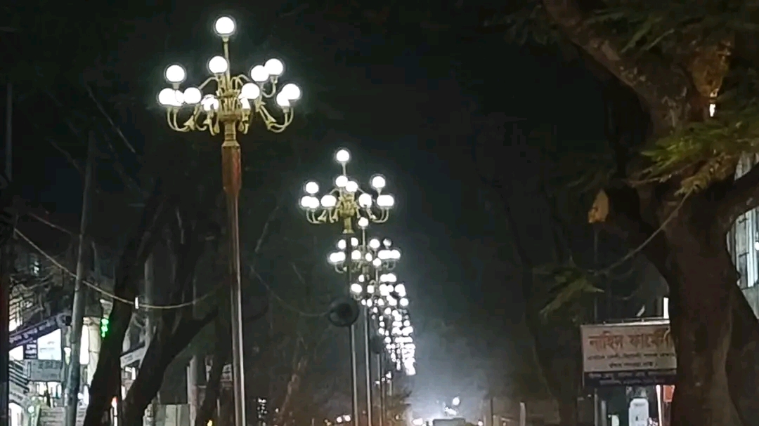 লালমনিরহাটকে স্মার্ট শহর গড়ার লক্ষ্যে অত্যাধুনিক স্ট্রিট লাইটের উদ্বোধন করলেন ত্রাণমন্ত্রী দুলু