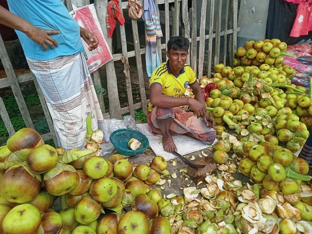 আত্রাইয়ে তাল শাষের কদর বেরেছে