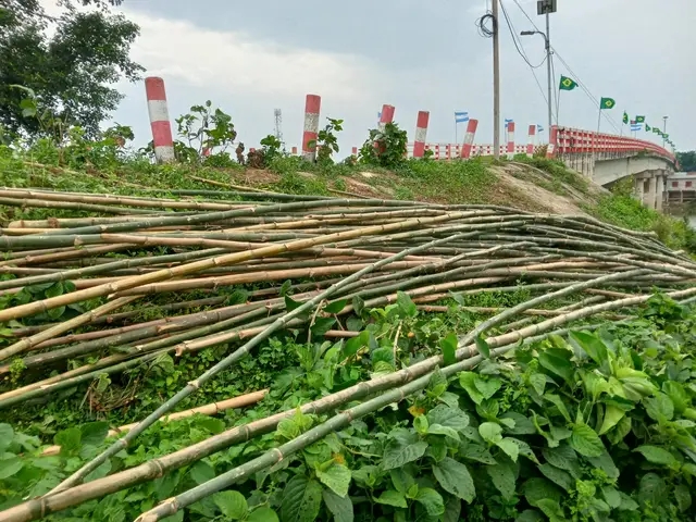 নওগাঁর বায়তুল্লাহ সেতুর উত্তর পাশে বাঁশের হাট যেন মৃত্যুফাঁদ, বাজার স্থানান্তরের দাবি