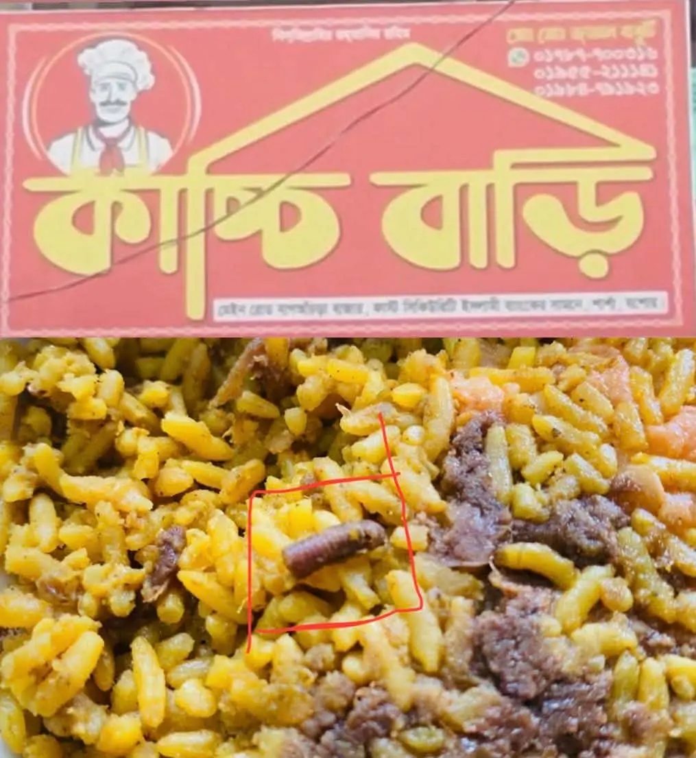 শার্শার বাগা আঁচড়া কাচ্চি ঘরে খিচুড়ির ভিতরে পাওয়া গেল (Millipeda 🐛) কেন্নো!