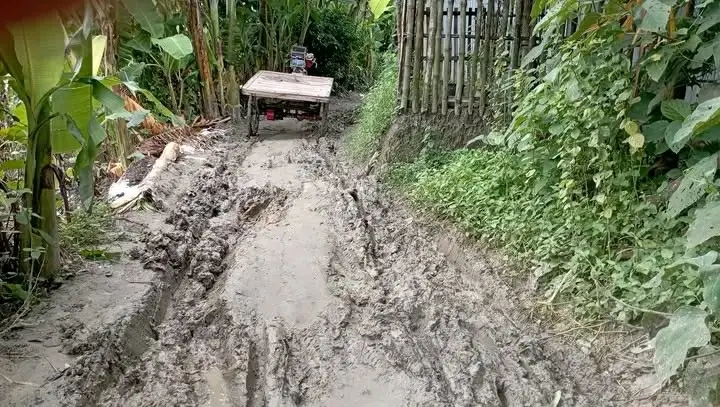 নওগাঁর আত্রাইয়ের মথুরাবাটি-খেয়াঘাট সড়কের বেহাল দশা,দ্রুত সংস্কারের দাবি স্থানীয়দের