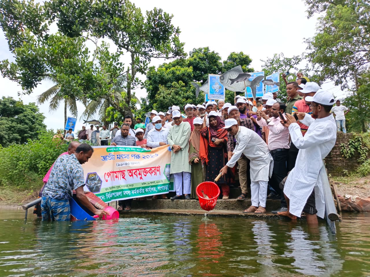 জাতীয় মৎস্য পক্ষে গংগাচড়ায় মাছের পোনা অবমুক্ত ও আলোচনা সভা