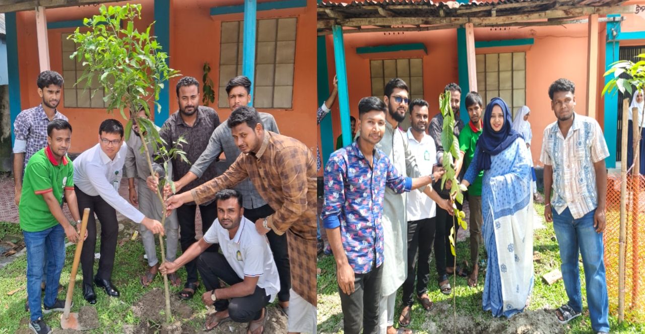 মাদক ও ক্যাসিনো বিরোধী সেমিনার এবং বৃক্ষরোপণ করলো গ্রীন ভয়েস